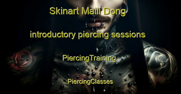 Skinart Malli Dong introductory piercing sessions | #PiercingTraining #PiercingClasses #SkinartTraining-Korea