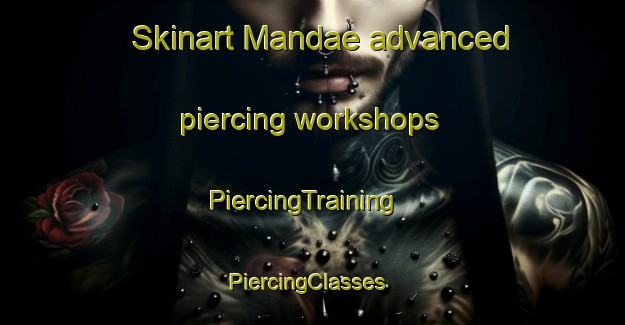 Skinart Mandae advanced piercing workshops | PiercingTraining | PiercingClasses | SkinartTraining-Korea