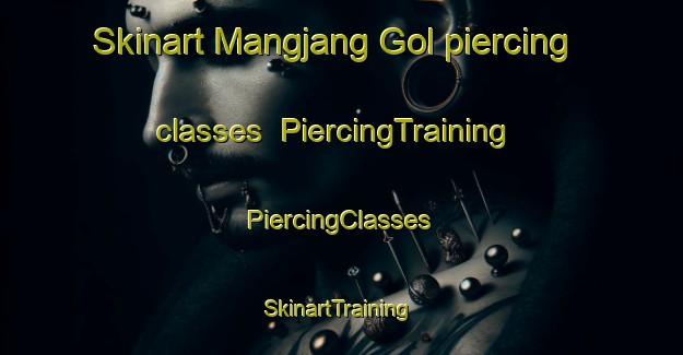 Skinart Mangjang Gol piercing classes | #PiercingTraining #PiercingClasses #SkinartTraining-Korea