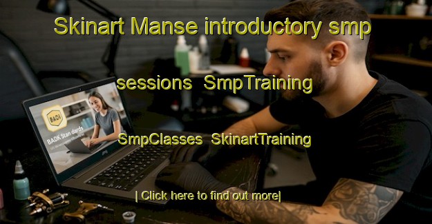 Skinart Manse introductory smp sessions | SmpTraining | SmpClasses | SkinartTraining-Korea