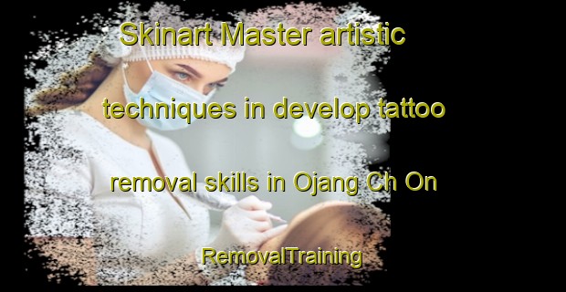 Skinart Master artistic techniques in develop tattoo removal skills in Ojang Ch On | RemovalTraining | RemovalClasses | SkinartTraining-Korea