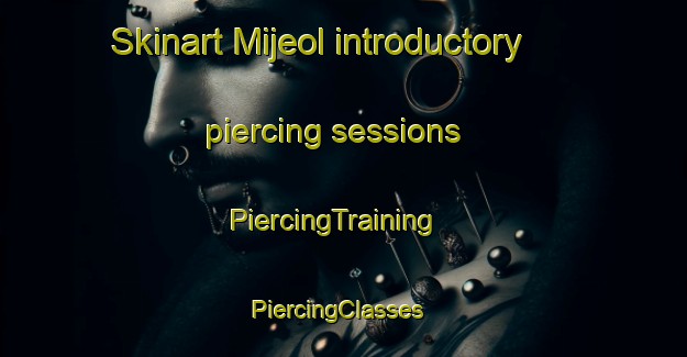 Skinart Mijeol introductory piercing sessions | PiercingTraining | PiercingClasses | SkinartTraining-Korea