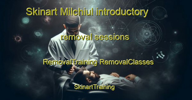 Skinart Milchiul introductory removal sessions | #RemovalTraining #RemovalClasses #SkinartTraining-Korea