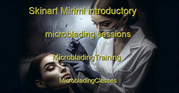Skinart Mirimi introductory microblading sessions | MicrobladingTraining | MicrobladingClasses | SkinartTraining-Korea