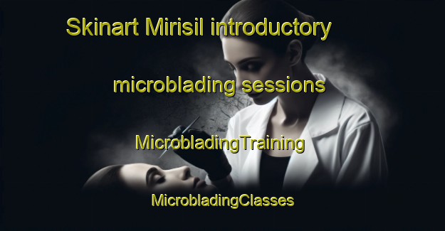 Skinart Mirisil introductory microblading sessions | #MicrobladingTraining #MicrobladingClasses #SkinartTraining-Korea