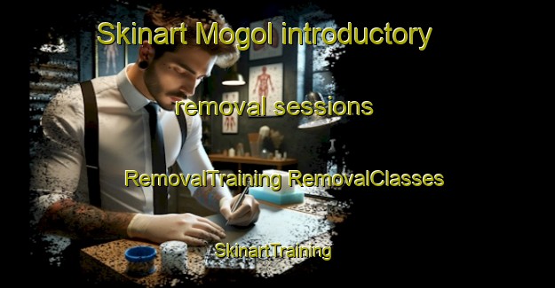 Skinart Mogol introductory removal sessions | #RemovalTraining #RemovalClasses #SkinartTraining-Korea