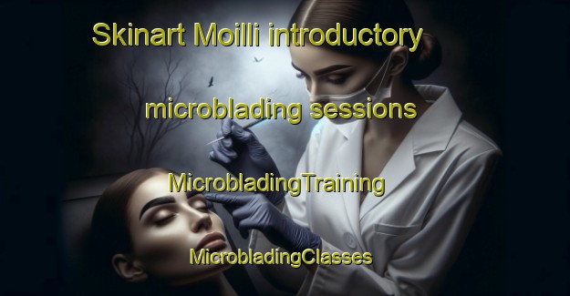 Skinart Moilli introductory microblading sessions | MicrobladingTraining | MicrobladingClasses | SkinartTraining-Korea