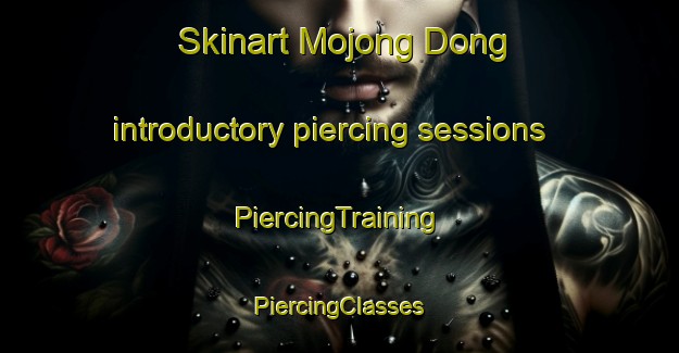 Skinart Mojong Dong introductory piercing sessions | #PiercingTraining #PiercingClasses #SkinartTraining-Korea