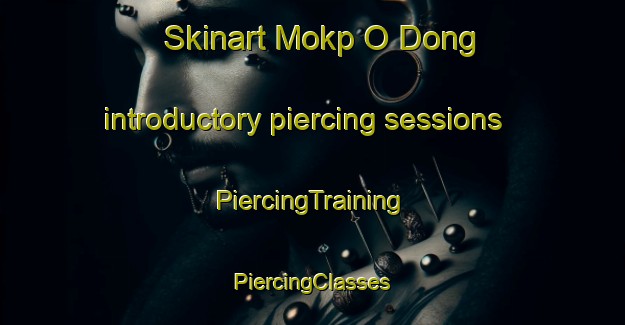 Skinart Mokp O Dong introductory piercing sessions | #PiercingTraining #PiercingClasses #SkinartTraining-Korea