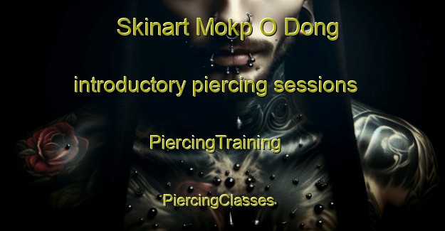 Skinart Mokp O Dong introductory piercing sessions | PiercingTraining | PiercingClasses | SkinartTraining-Korea