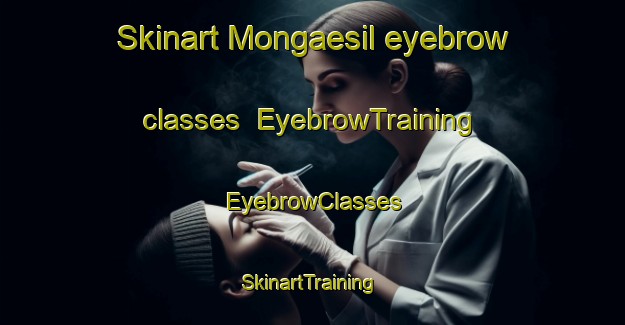 Skinart Mongaesil eyebrow classes | EyebrowTraining | EyebrowClasses | SkinartTraining-Korea