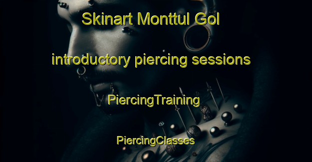 Skinart Monttul Gol introductory piercing sessions | #PiercingTraining #PiercingClasses #SkinartTraining-Korea