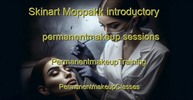 Skinart Moppakk introductory permanentmakeup sessions | PermanentmakeupTraining | PermanentmakeupClasses | SkinartTraining-Korea