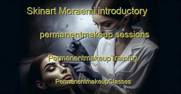 Skinart Moraemi introductory permanentmakeup sessions | PermanentmakeupTraining | PermanentmakeupClasses | SkinartTraining-Korea