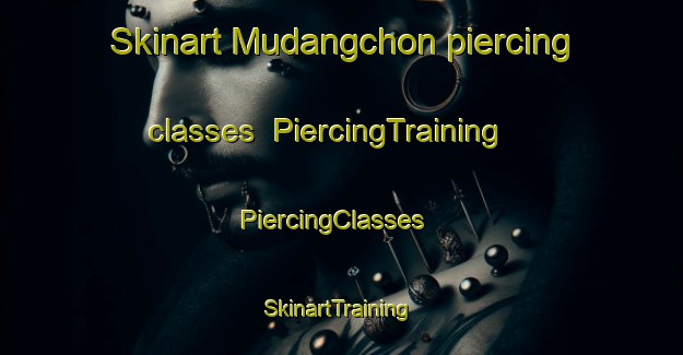 Skinart Mudangchon piercing classes | PiercingTraining | PiercingClasses | SkinartTraining-Korea