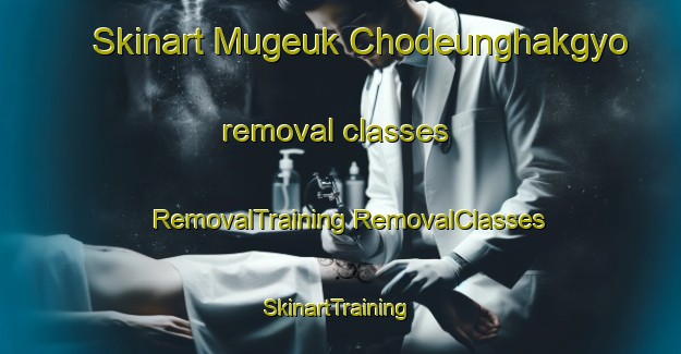 Skinart Mugeuk Chodeunghakgyo removal classes | #RemovalTraining #RemovalClasses #SkinartTraining-Korea