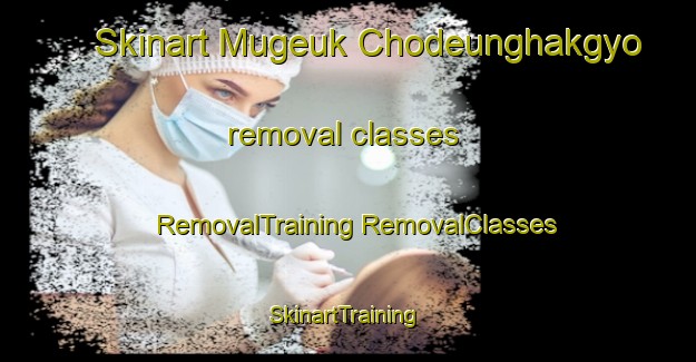 Skinart Mugeuk Chodeunghakgyo removal classes | #RemovalTraining #RemovalClasses #SkinartTraining-Korea