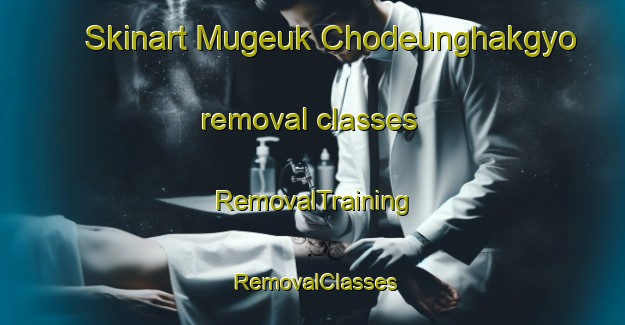 Skinart Mugeuk Chodeunghakgyo removal classes | RemovalTraining | RemovalClasses | SkinartTraining-Korea
