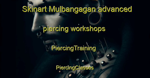 Skinart Mulbangagan advanced piercing workshops | #PiercingTraining #PiercingClasses #SkinartTraining-Korea