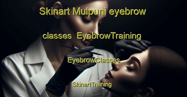 Skinart Mulpuni eyebrow classes | EyebrowTraining | EyebrowClasses | SkinartTraining-Korea