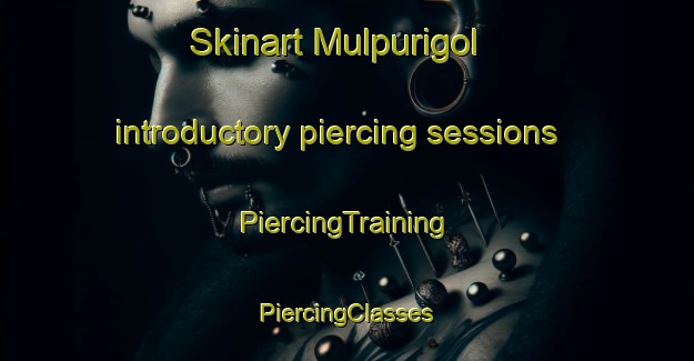 Skinart Mulpurigol introductory piercing sessions | #PiercingTraining #PiercingClasses #SkinartTraining-Korea