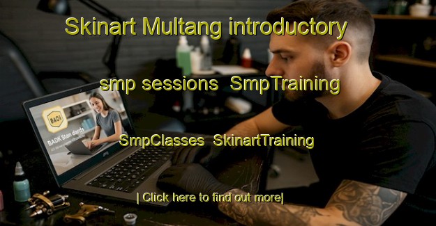 Skinart Multang introductory smp sessions | SmpTraining | SmpClasses | SkinartTraining-Korea