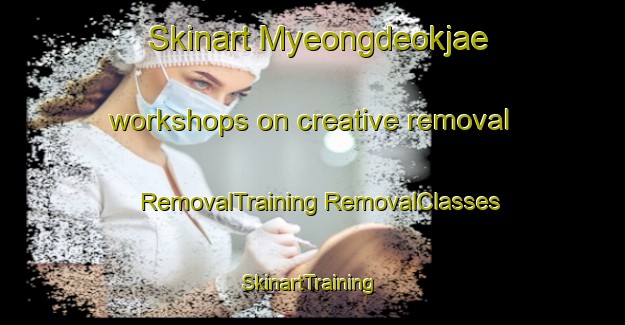 Skinart Myeongdeokjae workshops on creative removal | #RemovalTraining #RemovalClasses #SkinartTraining-Korea