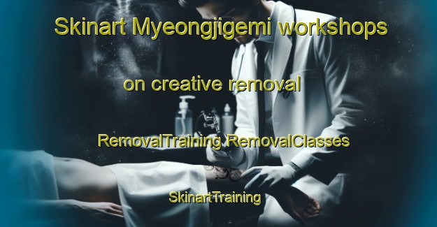 Skinart Myeongjigemi workshops on creative removal | #RemovalTraining #RemovalClasses #SkinartTraining-Korea