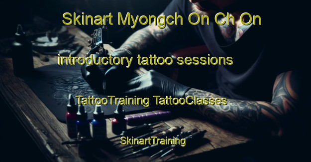 Skinart Myongch On Ch On introductory tattoo sessions | #TattooTraining #TattooClasses #SkinartTraining-Korea