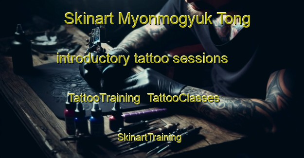 Skinart Myonmogyuk Tong introductory tattoo sessions | TattooTraining | TattooClasses | SkinartTraining-Korea