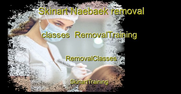 Skinart Naebaek removal classes | RemovalTraining | RemovalClasses | SkinartTraining-Korea