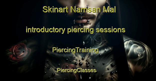Skinart Namsan Mal introductory piercing sessions | PiercingTraining | PiercingClasses | SkinartTraining-Korea