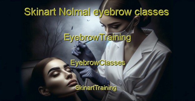 Skinart Nolmal eyebrow classes | EyebrowTraining | EyebrowClasses | SkinartTraining-Korea