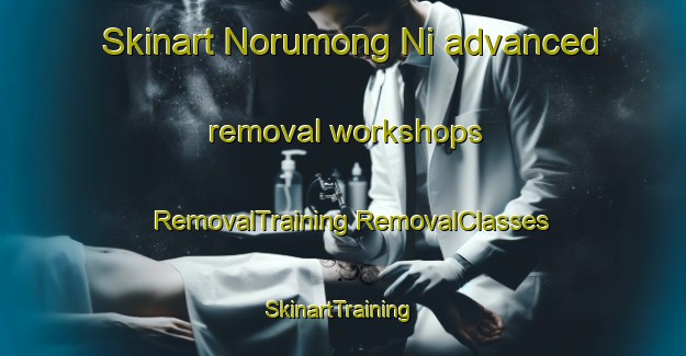 Skinart Norumong Ni advanced removal workshops | #RemovalTraining #RemovalClasses #SkinartTraining-Korea