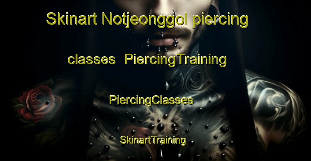 Skinart Notjeonggol piercing classes | PiercingTraining | PiercingClasses | SkinartTraining-Korea