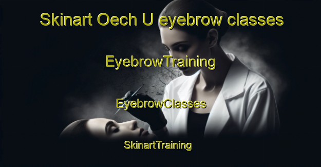 Skinart Oech U eyebrow classes | EyebrowTraining | EyebrowClasses | SkinartTraining-Korea