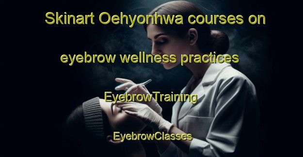 Skinart Oehyonhwa courses on eyebrow wellness practices | EyebrowTraining | EyebrowClasses | SkinartTraining-Korea