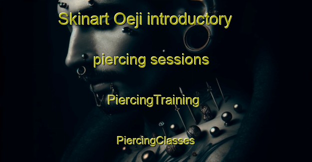 Skinart Oeji introductory piercing sessions | #PiercingTraining #PiercingClasses #SkinartTraining-Korea