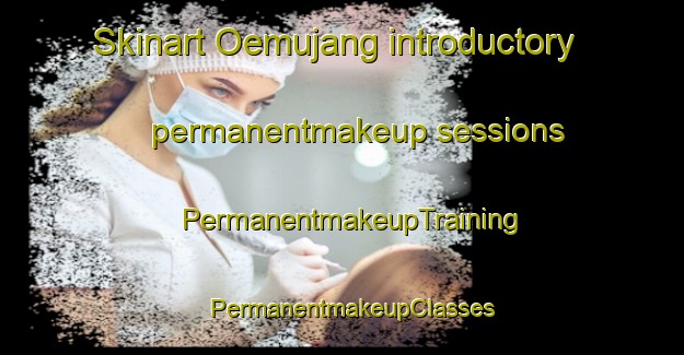 Skinart Oemujang introductory permanentmakeup sessions | PermanentmakeupTraining | PermanentmakeupClasses | SkinartTraining-Korea