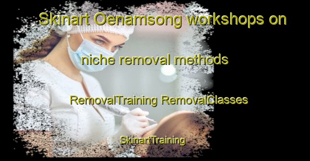 Skinart Oenamsong workshops on niche removal methods | #RemovalTraining #RemovalClasses #SkinartTraining-Korea