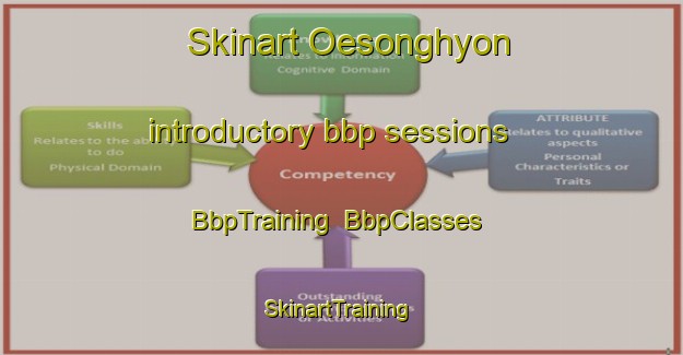 Skinart Oesonghyon introductory bbp sessions | BbpTraining | BbpClasses | SkinartTraining-Korea