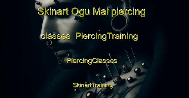 Skinart Ogu Mal piercing classes | PiercingTraining | PiercingClasses | SkinartTraining-Korea