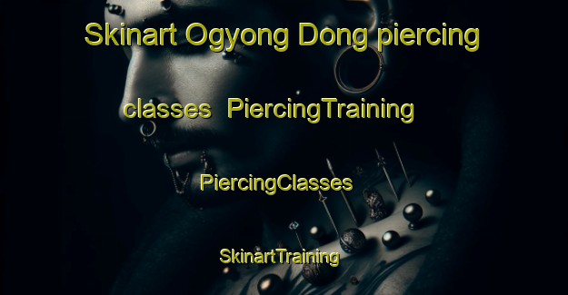 Skinart Ogyong Dong piercing classes | PiercingTraining | PiercingClasses | SkinartTraining-Korea