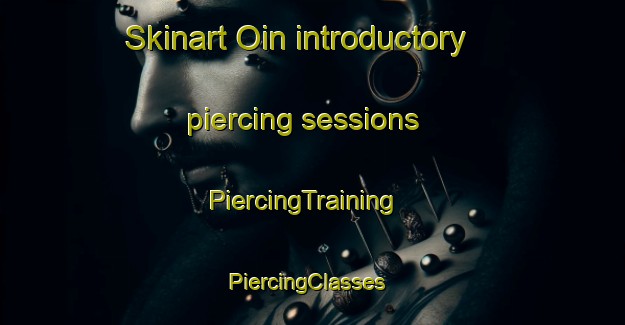Skinart Oin introductory piercing sessions | PiercingTraining | PiercingClasses | SkinartTraining-Korea