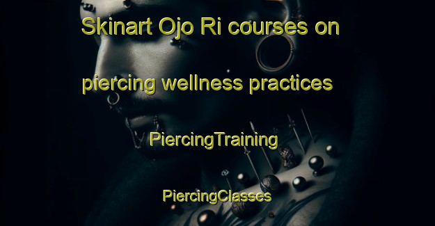 Skinart Ojo Ri courses on piercing wellness practices | #PiercingTraining #PiercingClasses #SkinartTraining-Korea