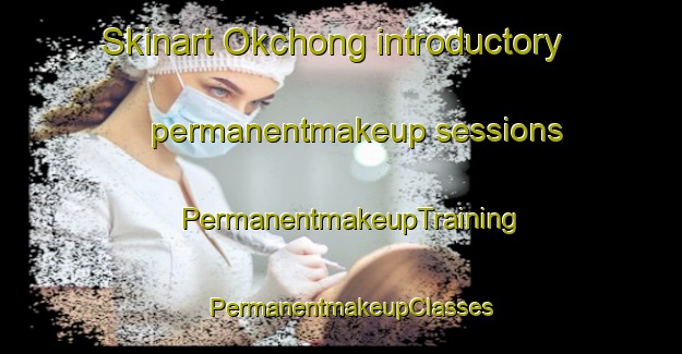 Skinart Okchong introductory permanentmakeup sessions | PermanentmakeupTraining | PermanentmakeupClasses | SkinartTraining-Korea