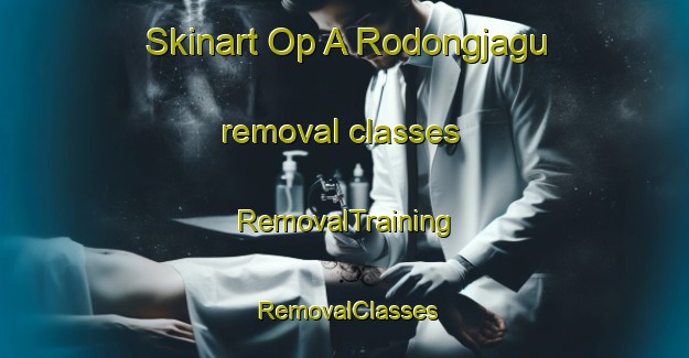 Skinart Op A Rodongjagu removal classes | RemovalTraining | RemovalClasses | SkinartTraining-Korea