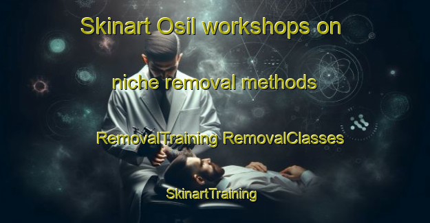 Skinart Osil workshops on niche removal methods | #RemovalTraining #RemovalClasses #SkinartTraining-Korea