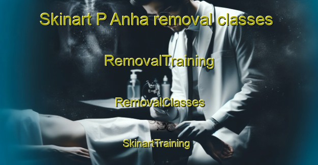 Skinart P Anha removal classes | RemovalTraining | RemovalClasses | SkinartTraining-Korea