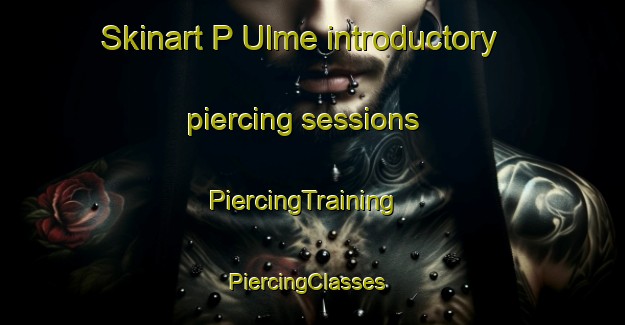 Skinart P Ulme introductory piercing sessions | PiercingTraining | PiercingClasses | SkinartTraining-Korea
